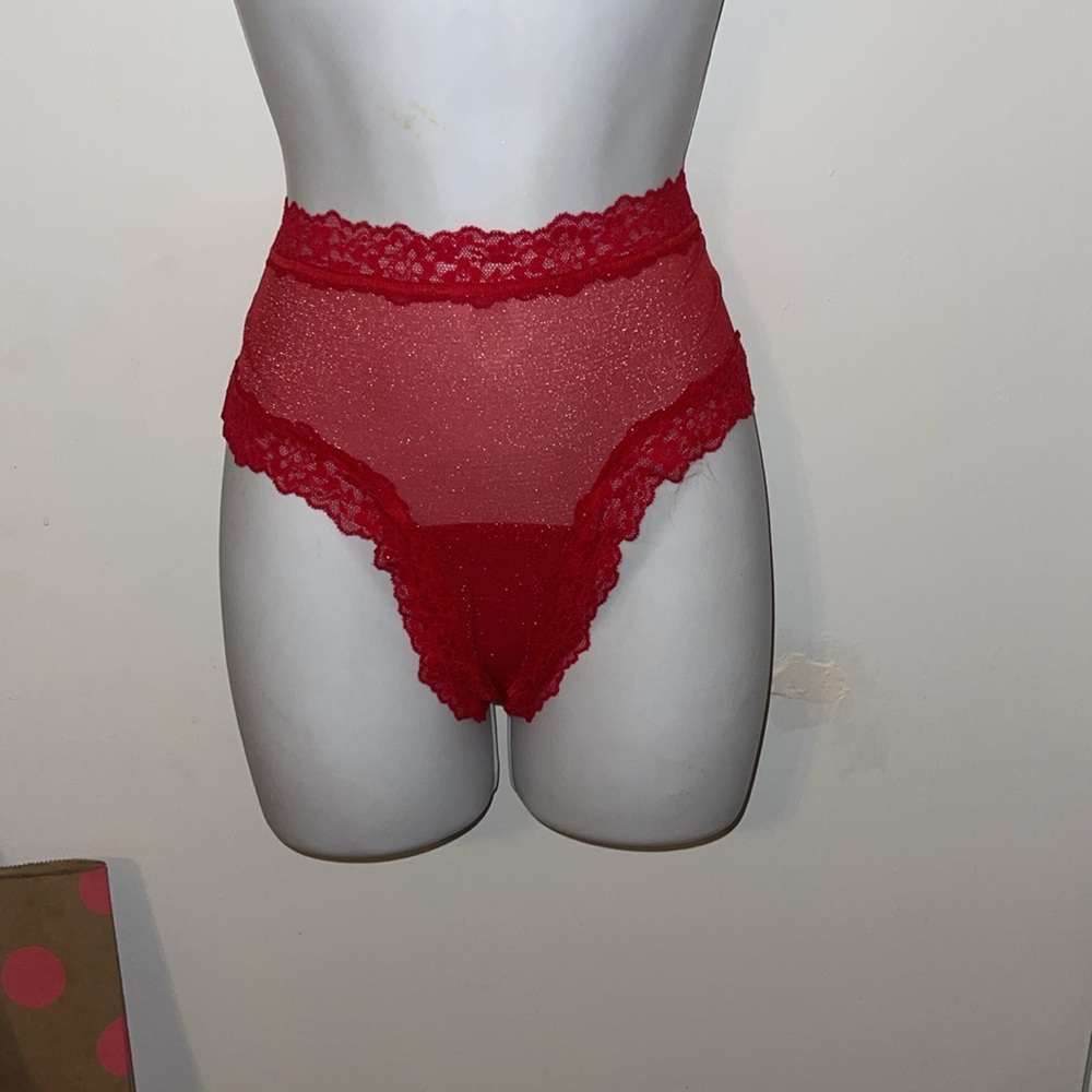 Lace cheeky panty- lured mesh in lipstick